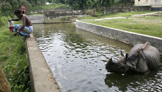 Its not only India How Asia is battling the worst April heatwave
