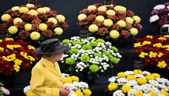This year, for the first time in more than a century of competition at the premier London event, there are more women than men vying for gold at the Chelsea Flower Show, according to Arab News. Reuters
