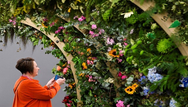 Chelsea in Bloom is the largest free-to-attend flower festival in London, hosted in conjunction with the RHS Chelsea Flower Show. Chelsea in Bloom presents floral installations and decorations for onlookers to enjoy, while the renowned flower show concentrates on creative garden designs and displays. A visitor stands next to floral displays at Chelsea Flower Show, in London, Britain. Reuters