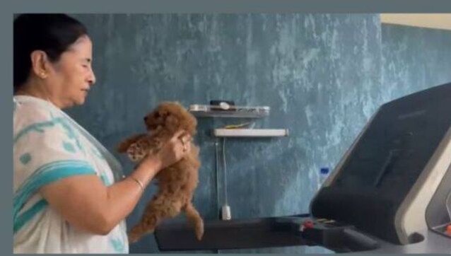 'Extra motivation': Mamata Banerjee's workout video has a furry friend 'Extra motivation': Mamata Banerjee's workout video has a furry friend