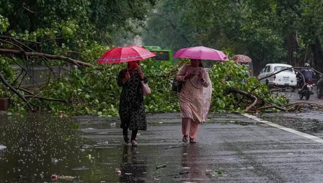 Uprooted trees and waterlogging led to traffic snarls in several parts of the city, including at the Vasant Vihar-Delhi airport road stretch, the Kanshiram Takkar Marg and the Mahipalpur highway underpass. PTI