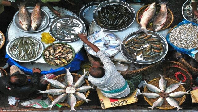 Selling Fish: Naya Bazaar is one of the oldest weekly fish markets in Dhaka, Bangladesh. We can see rare and expensive species of fish here that cannot usually be seen in other markets. Image Courtesy: Md Mahabub Hossain Khan/Pink Lady® Food Photographer of the Year 2023