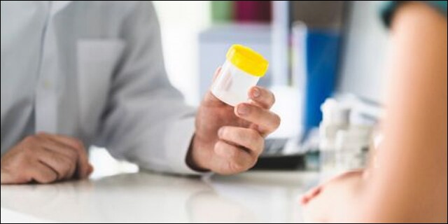 Best Synthetic Urine Test Kits – Top 5 Brands To Pass a Drug Test