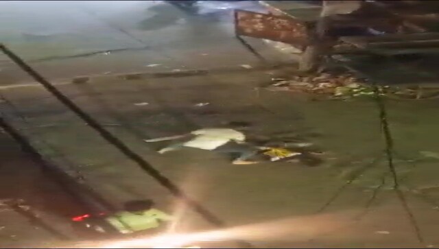 Delhi Shocker: Man brutally stabbed with machete in public, video goes viral, accused arrested