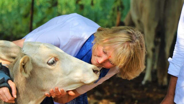 Creative or Disturbing? PETA founder wills her body parts be sent to politicians, business leaders; flesh to be eaten