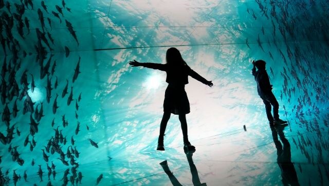 Organised in one of the annexes of AquaRio, South America’s largest marine aquarium, the Sea of Mirrors exhibition displays a 1,300 square metres installation of mirrors in nine rooms. Children can be seen enjoying the mirror installation featuring digital images of fish in the ocean. AP Organised in one of the annexes of AquaRio, South America’s largest marine aquarium, the Sea of Mirrors exhibition displays a 1,300 square metres installation of mirrors in nine rooms. Children can be seen enjoying the mirror installation featuring digital images of fish in the ocean. AP