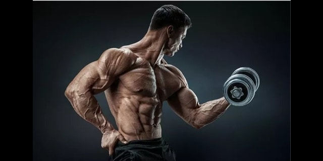 Best SARMs Stack for Cutting Fat and Building Muscle Best SARMs Stack for Cutting Fat and Building Muscle
