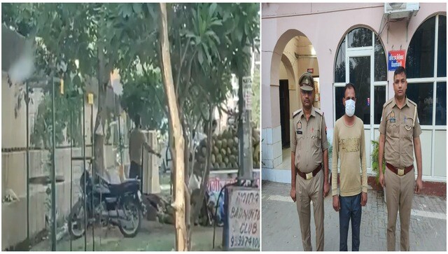WATCH: Noida vendor sprinkles drain water on coconuts, held after video goes viral