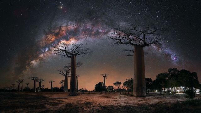 Starry Nights: The winners of the Milky War Photographer of the Year contest