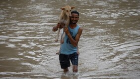 As flood situation in Delhi improves, more roads now open to traffic; few curbs still in place 2 Delhi