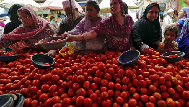 india tomatoes 