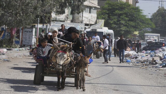 gaza civilians plight