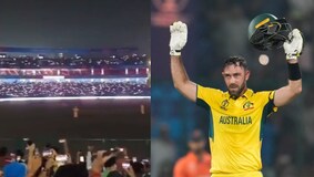 Dumb idea for cricket