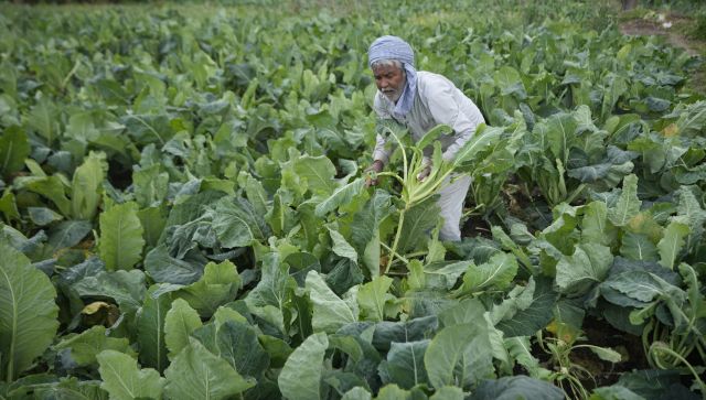 Delhi Chalo march What are the big demands of farmers Who is leading the protest