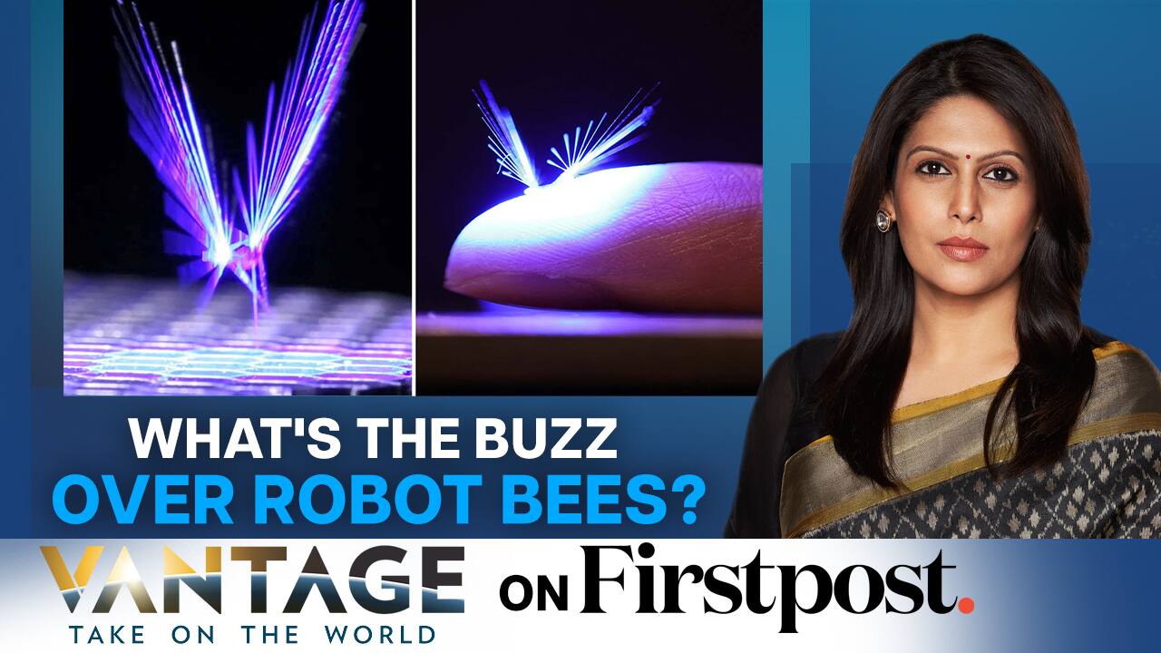 Buzz Over Robot BeesThreat to Bees Leads to Development of Robot Bees