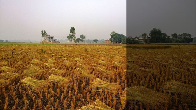 As Punjab's groundwater levels drop alarmingly, farmers confront desperate times ahead As Punjab's groundwater levels drop alarmingly, farmers confront desperate times ahead