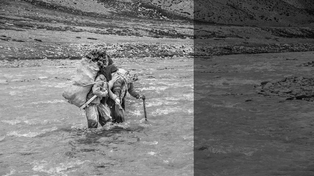 Shepherdesses of Changthang: 14,000 ft above sea level, women hold a hardy community together Shepherdesses of Changthang: 14,000 ft above sea level, women hold a hardy community together