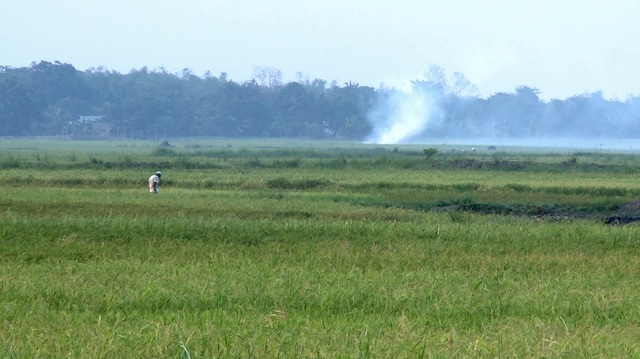 What the Fields Remember: Subasri Krishnan on the human cost of the Nellie massacre What the Fields Remember: Subasri Krishnan on the human cost of the Nellie massacre