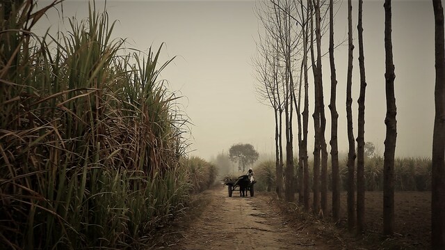 Muzaffarnagar Baaqi Hai: Nakul Singh Sawhney examines the anatomy of a riot Muzaffarnagar Baaqi Hai: Nakul Singh Sawhney examines the anatomy of a riot