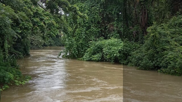 Goa's waterways splinter, as ill-planned road development continues unabated Goa's waterways splinter, as ill-planned road development continues unabated