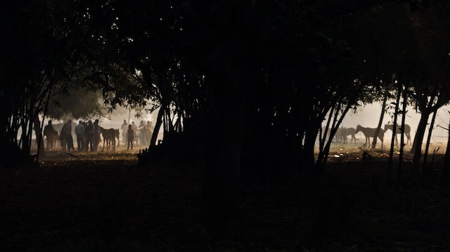 At the Sonepur Cattle Fair, humans and animals meet to celebrate myriad cultures and traditions At the Sonepur Cattle Fair, humans and animals meet to celebrate myriad cultures and traditions