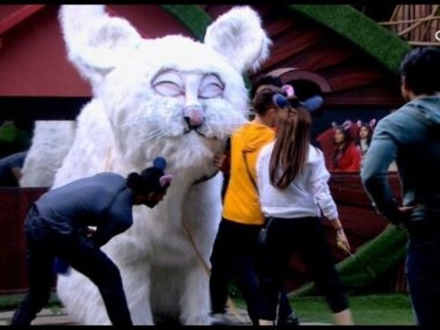 Bigg Boss 13 Day 73 highlights: Shehnaz Gill fights with Sidharth Shukla, Paras Chhabra for captaincy Bigg Boss 13 Day 73 highlights: Shehnaz Gill fights with Sidharth Shukla, Paras Chhabra for captaincy