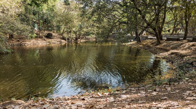 A river runs through it: Tracing the Dahisar's meandering — and dwindling — path A river runs through it: Tracing the Dahisar's meandering — and dwindling — path