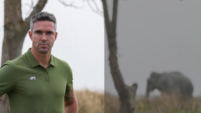 Kevin Pietersen's second innings: Former England player is now committed to saving rhinos from extinction Kevin Pietersen's second innings: Former England player is now committed to saving rhinos from extinction