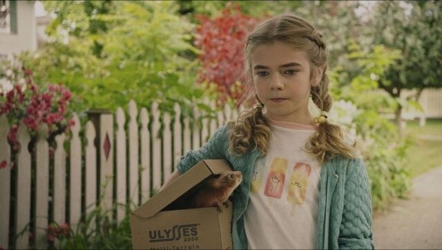 Flora & Ulysses, on Disney+ Hotstar Premium, veers dangerously close to kid-movie cheesiness but miraculously never does