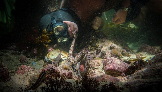 Oscars 2021: South African President Cyril Ramaphosa lauds My Octopus Teacher for Best Docu win