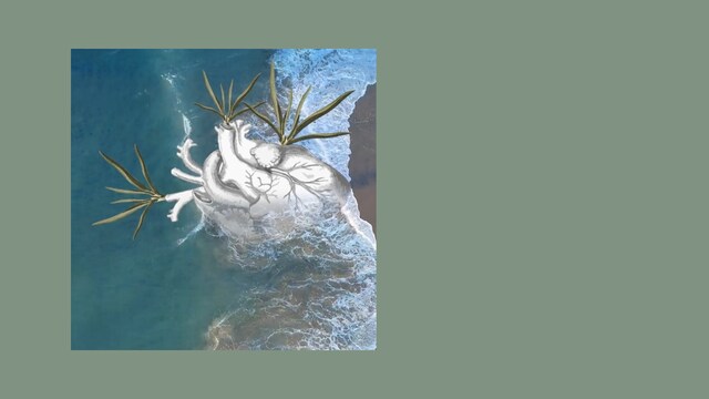Of loitering and loss: Mourning a changed relationship with the sea, in a 'developing' city Of loitering and loss: Mourning a changed relationship with the sea, in a 'developing' city