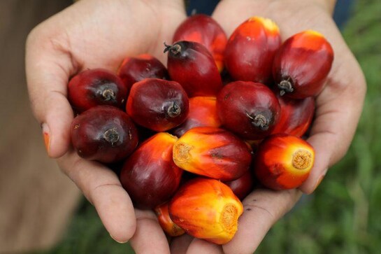 India's tax increase on crude palm oil imports could reduce shipments India's tax increase on crude palm oil imports could reduce shipments