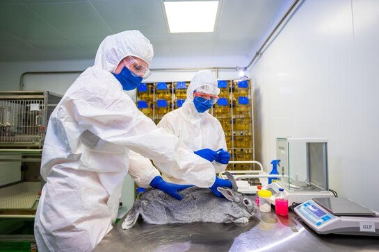 Russia registers world's first COVID-19 vaccine for animals Russia registers world's first COVID-19 vaccine for animals