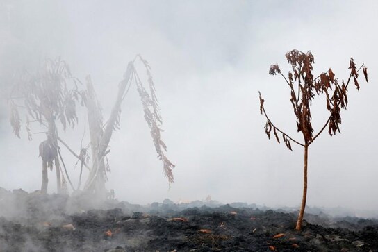 Two weeks on, Hawaii residents look for 'normalcy' amid ash, lava Two weeks on, Hawaii residents look for 'normalcy' amid ash, lava