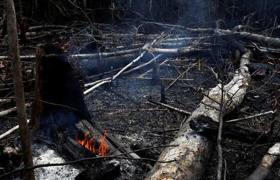 The sky never goes dark while the Amazon burns The sky never goes dark while the Amazon burns