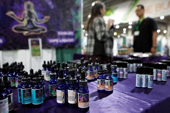 Cannabis companies, betting on a Biden win, ready IPOs Cannabis companies, betting on a Biden win, ready IPOs