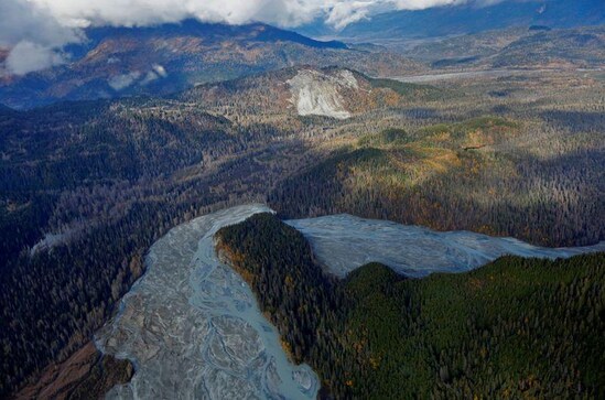 Trump administration opens pristine Alaska forest to logging Trump administration opens pristine Alaska forest to logging