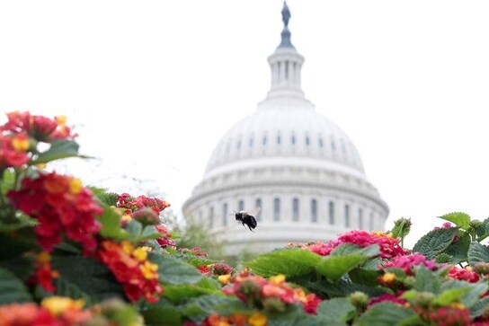 'Lame duck' U.S. Congress to grapple with coronavirus aid, budget bills 'Lame duck' U.S. Congress to grapple with coronavirus aid, budget bills
