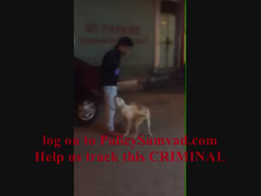 Delhi man who tortured dog mercilessly and posted video on FB is finally arrested Delhi man who tortured dog mercilessly and posted video on FB is finally arrested