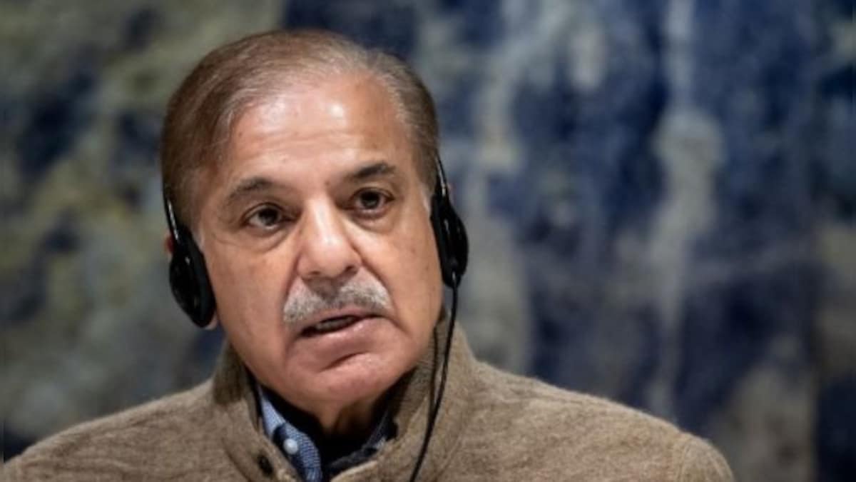 Pot calls the kettle black: Imran Khan has been arrested for graft, what about Shehbaz Sharif?