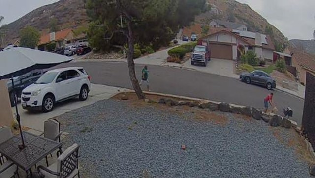 Watch: Dog tries to pick fight with another dog for walking near its territory Watch: Dog tries to pick fight with another dog for walking near its territory