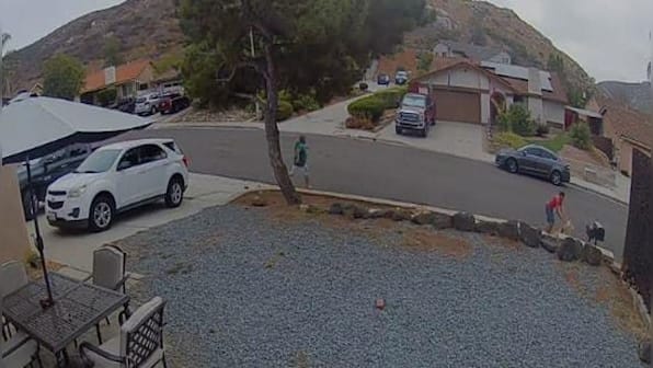 Watch: Dog tries to pick fight with another dog for walking near its territory