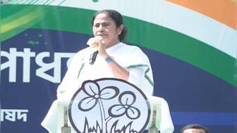 '...Would have torn out their tongues': Mamata slams BJP for misusing CBI, ED to silence opposition