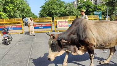 Noida Twin Towers Demolition: Road closed, traffic diversion as the goliaths come tumbling down
