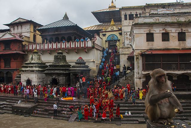 Hartalika Teej 2022: Wishes, greetings and messages to share with kin Hartalika Teej 2022: Wishes, greetings and messages to share with kin