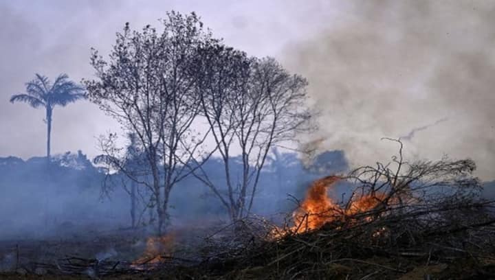 Ash ash everywhere: Brazil’s Amazon Forest sees worst fires in a decade Ash ash everywhere: Brazil’s Amazon Forest sees worst fires in a decade