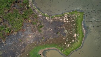 Brazil: Amazon rainforest records 18% rise in forest fires during August 2022