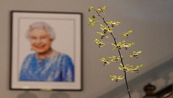 Explained: The 'majestic' Singapore orchid named in honour of Queen Elizabeth II