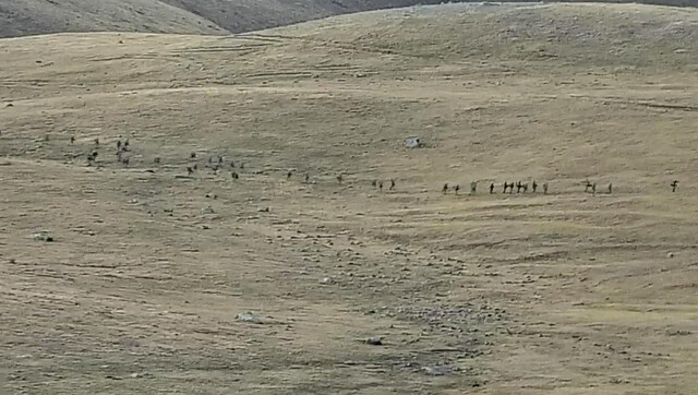 Armenia, Azerbaijan accuse each other of new rounds of shelling Armenia, Azerbaijan accuse each other of new rounds of shelling