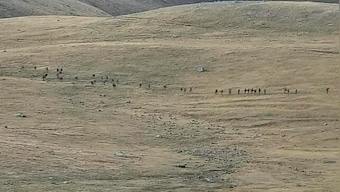 Armenia, Azerbaijan accuse each other of new rounds of shelling